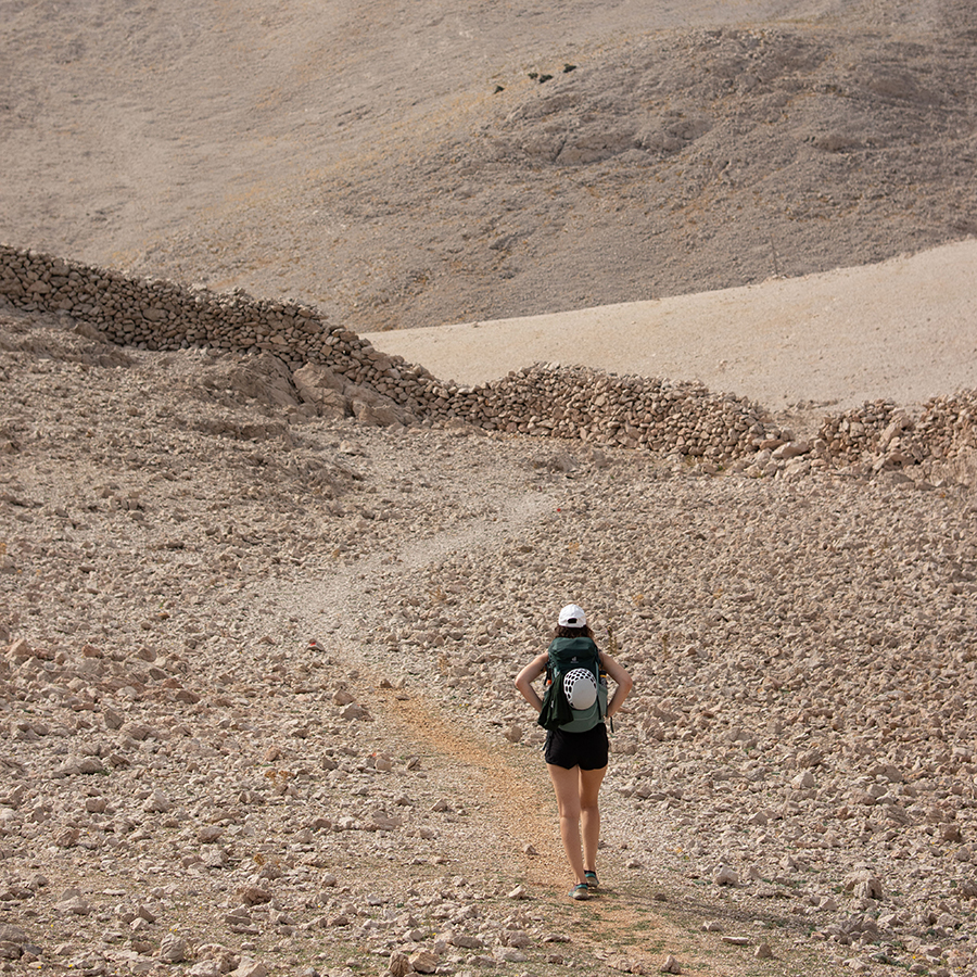 Aktivitäten - life on mars