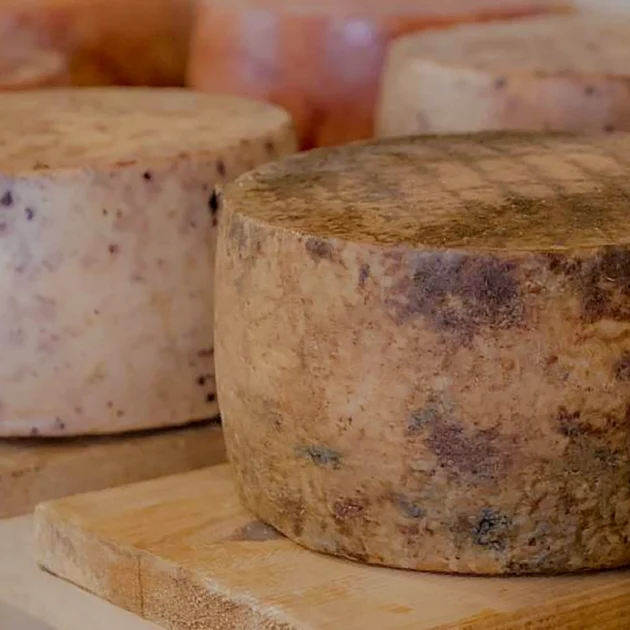 Autohtoni paški sir - gastronomska baština otoka Paga koju vrijedi doživjeti uz Lastura Resort.